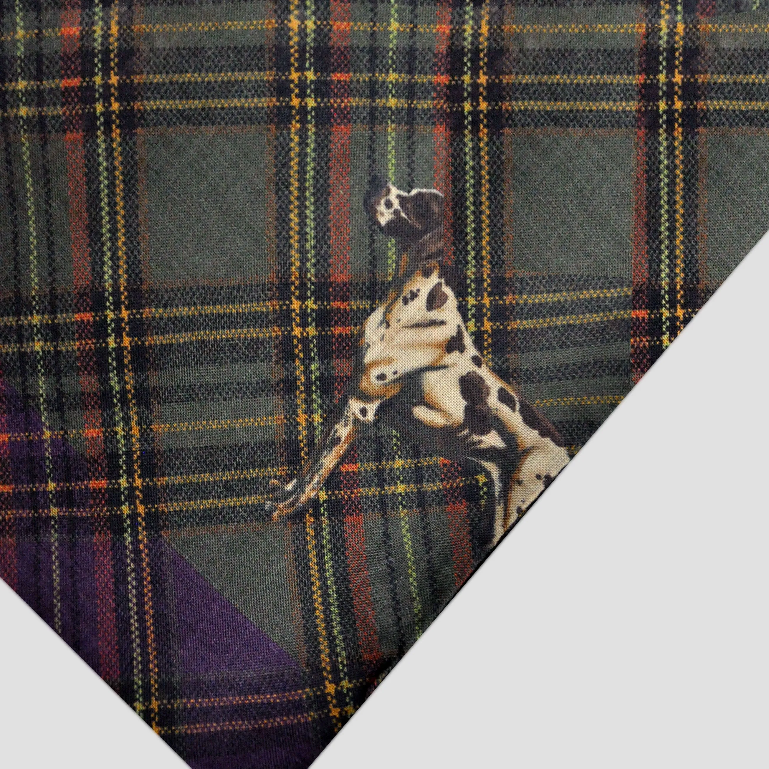 Wool Silk Plaid & Pointer Scarf in Green, Ochre & Purple